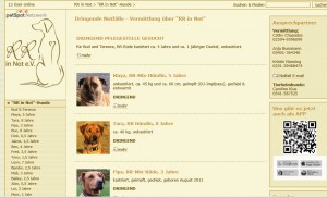 Ridgeback