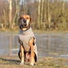 Foto des Monats Februar 2018