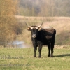 Foto des Monats Februar 2017