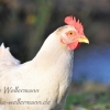 Foto des Monats Dezember 2019