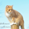Foto des Monats Januar 2020