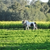 Foto des Monats September 2015