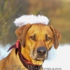 Foto des Monats Dezember 2014