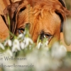 Foto des Monats Februar 2015