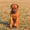 Foto des Monats Januar 2012