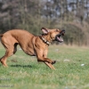 Foto des Monats Februar 2013