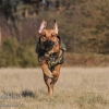 Foto des Monats Februar 2012
